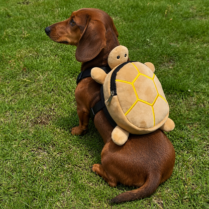 The Turtle Backpack for Slow-Walking Dogs