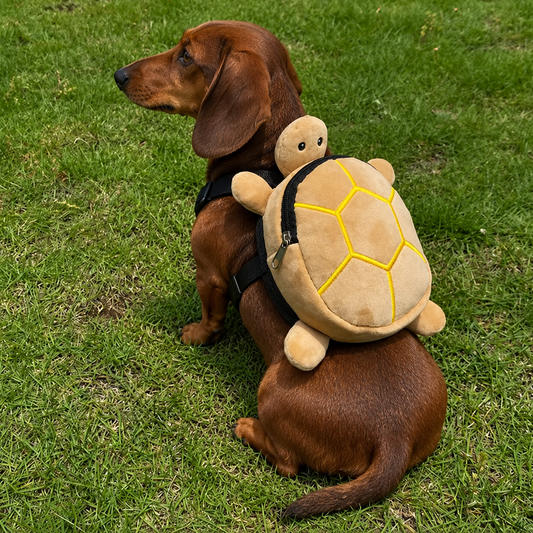 The Turtle Backpack for Slow-Walking Dogs